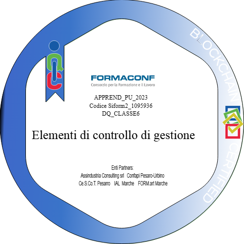 SEZ2_2.2_Elementi di controllo di gestione_DQ6